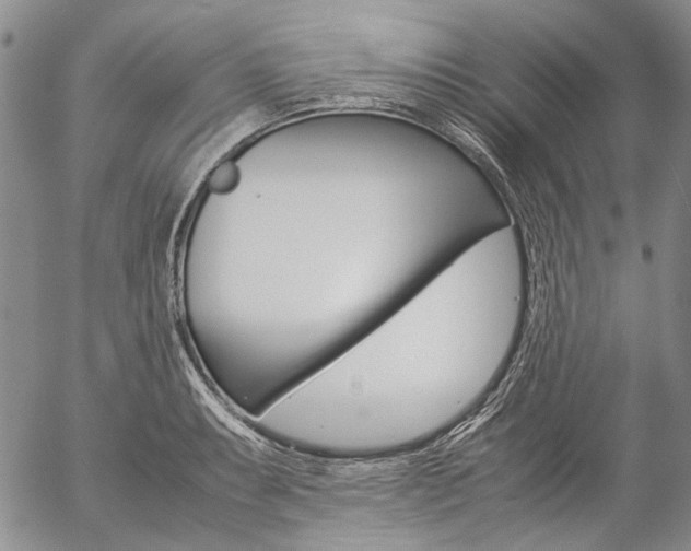 X0000057061087200509090811