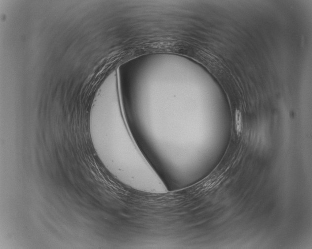 X0000057061107200509090810