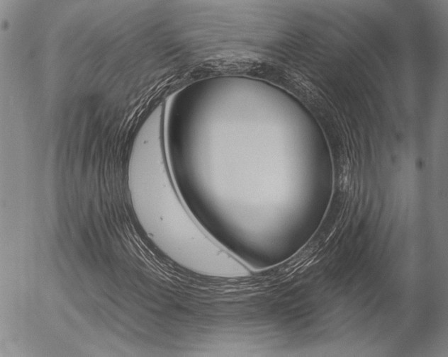 X0000057061108200509090810