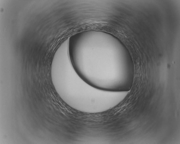 X0000057061109200509090810