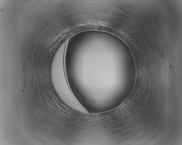 X0000057061110200509090810