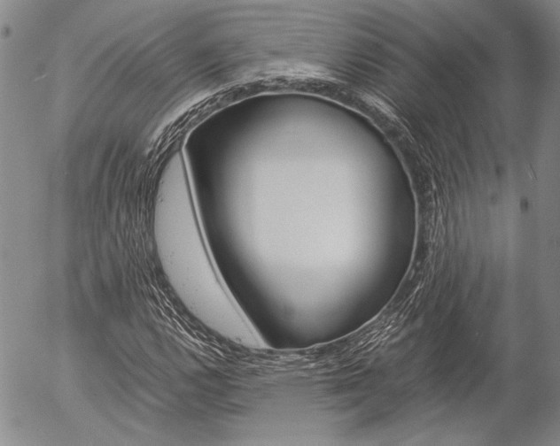 X0000057061112200509090810