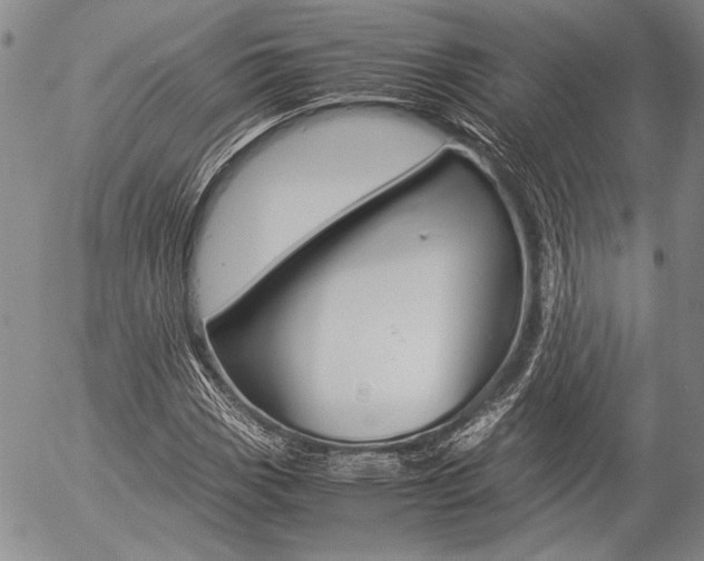 X0000057061113200509090810