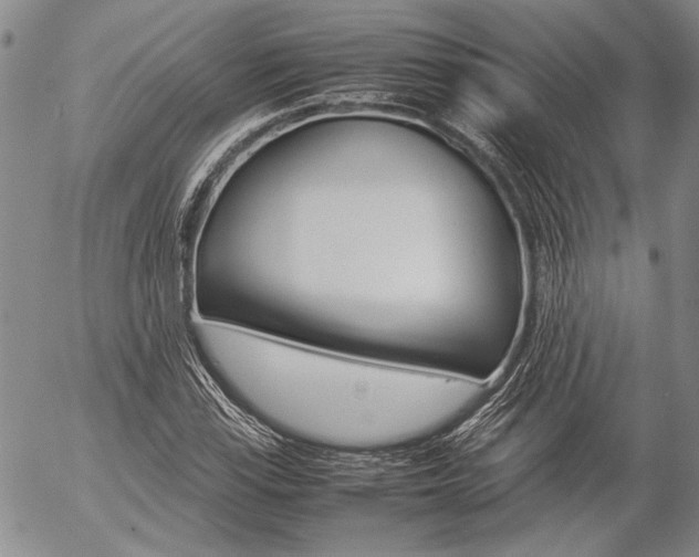 X0000057061115200509090810