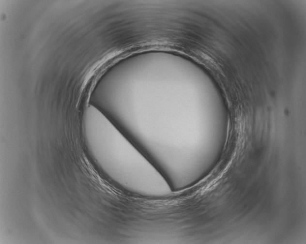 X0000057061117200509090810