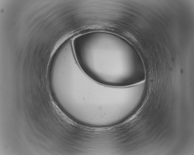 X0000057061122200509090810
