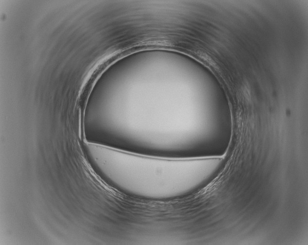 X0000057061123200509090810
