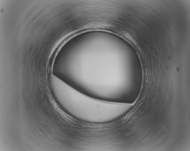X0000057061124200509090810