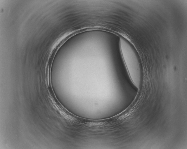 X0000057061127200509090810