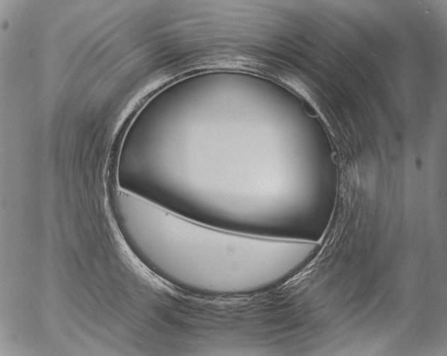 X0000057061139200509090810