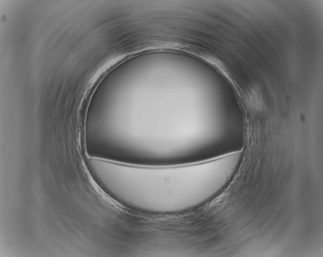 X0000057061143200509090810