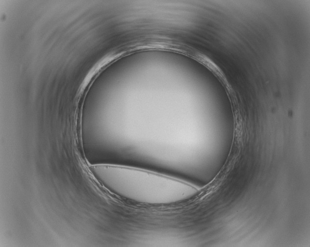 X0000057061146200509090810