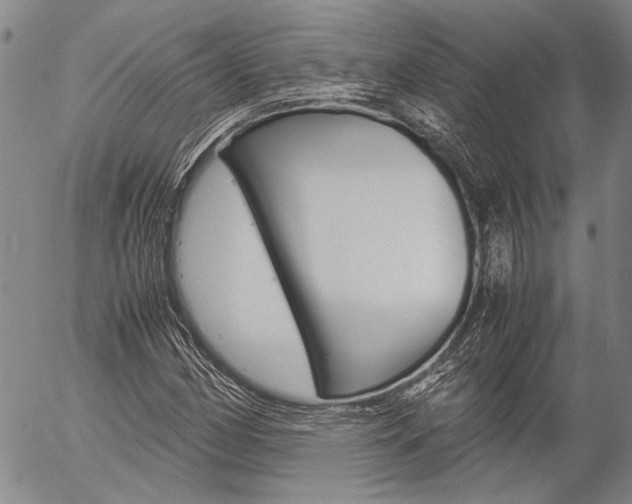 X0000057061162200509090810
