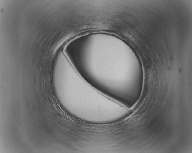 X0000057061163200509090810