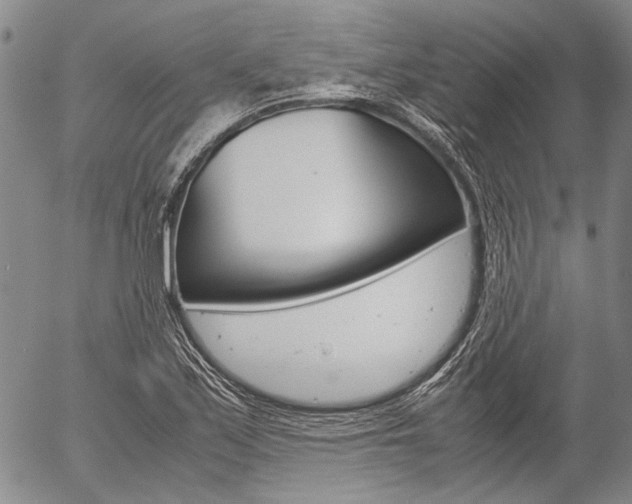 X0000057061171200509090810