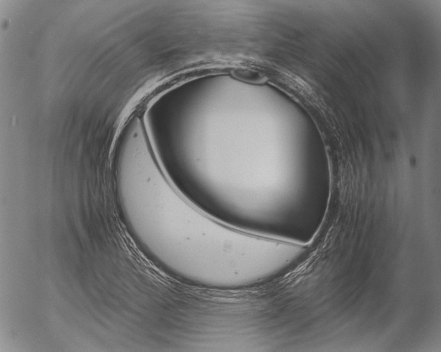 X0000057061172200509090809