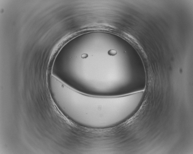 X0000057061188200509090809