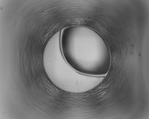 X0000057061202200509090808
