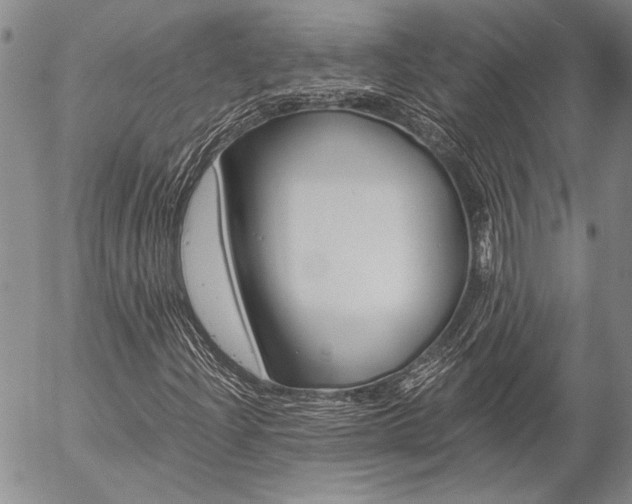X0000057061204200509090808