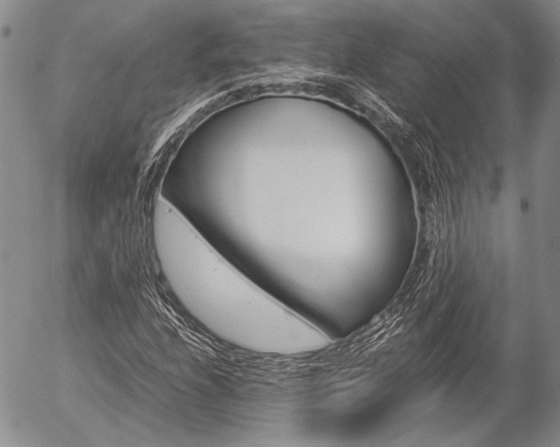 X0000057061208200509090808