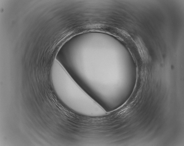 X0000057061209200509090808