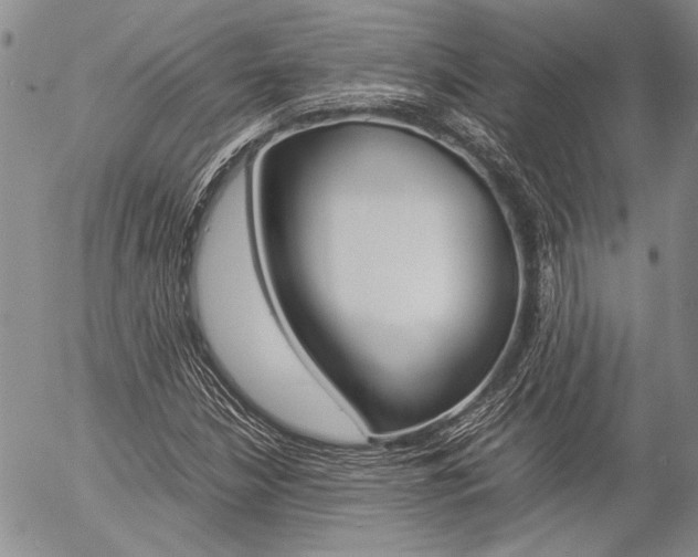X0000057061210200509090808