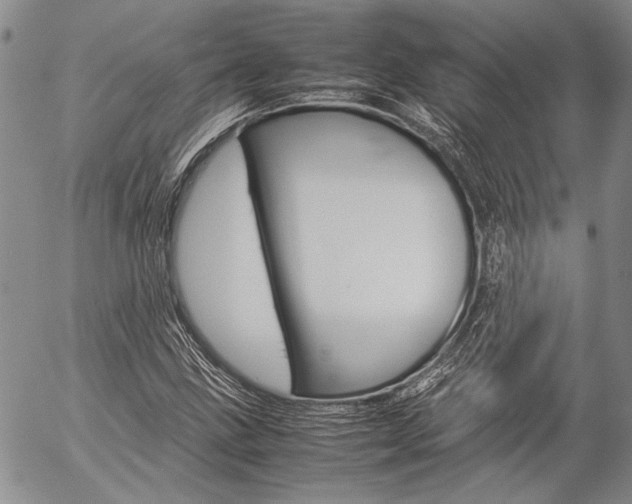 X0000057061211200509090808