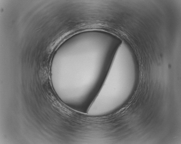 X0000057061212200509090808