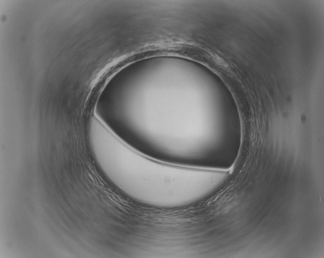 X0000057061214200509090808