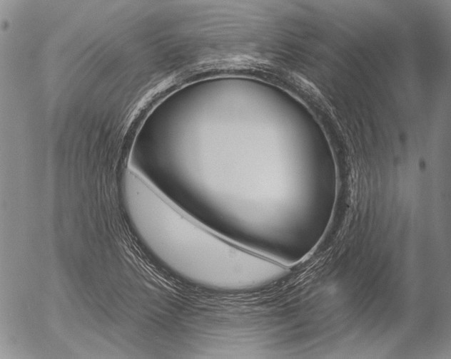 X0000057061218200509090809