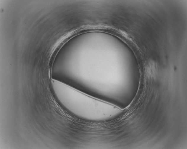 X0000057061221200509090809