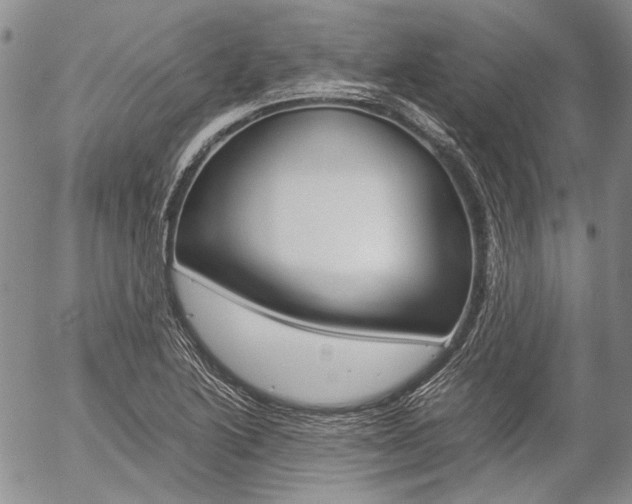 X0000057061222200509090809