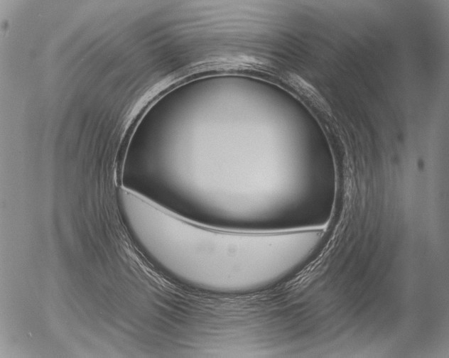 X0000057061226200509090809