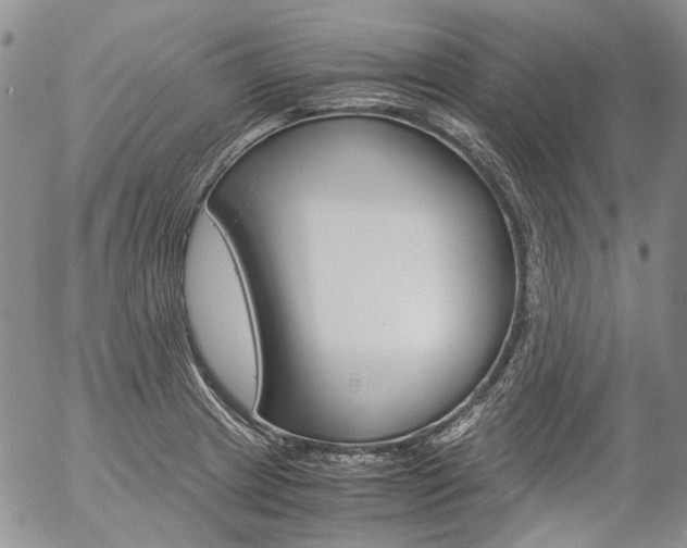 X0000057061233200509090809