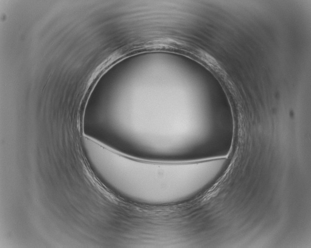 X0000057061234200509090809