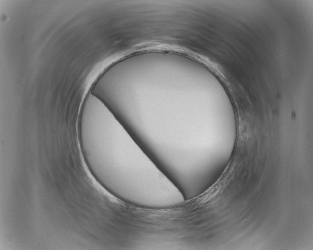 X0000057061247200509090809