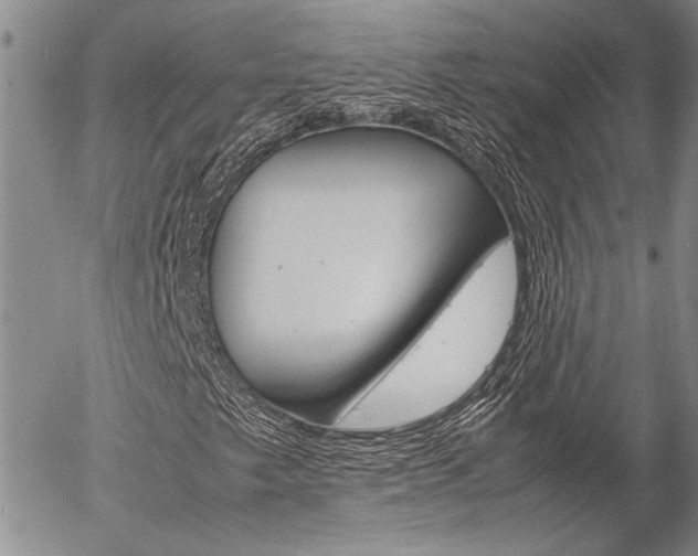 X0000057061249200509090808