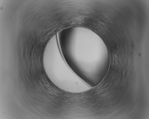 X0000057061250200509090808