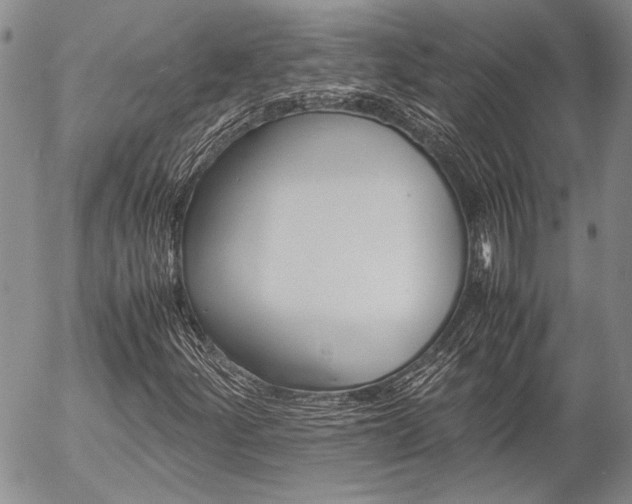 X0000057061252200509090808