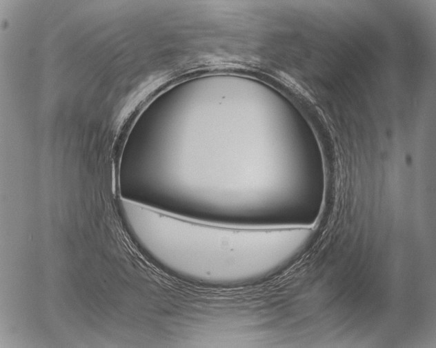 X0000057061269200509090808