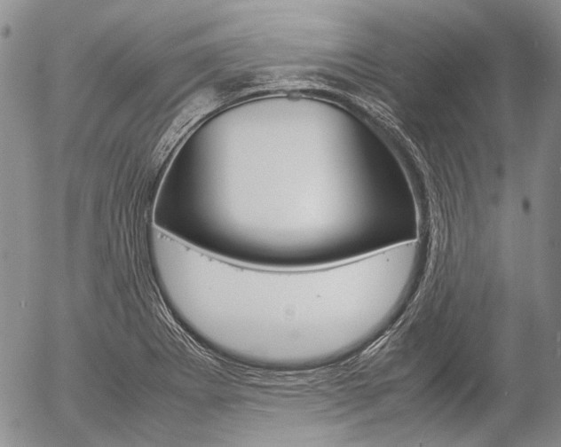 X0000057061273200509090808