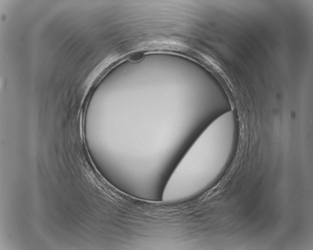 X0000057061275200509090808