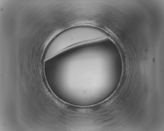X0000057061277200509090808