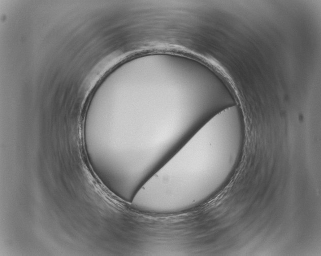 X0000057061287200509090808