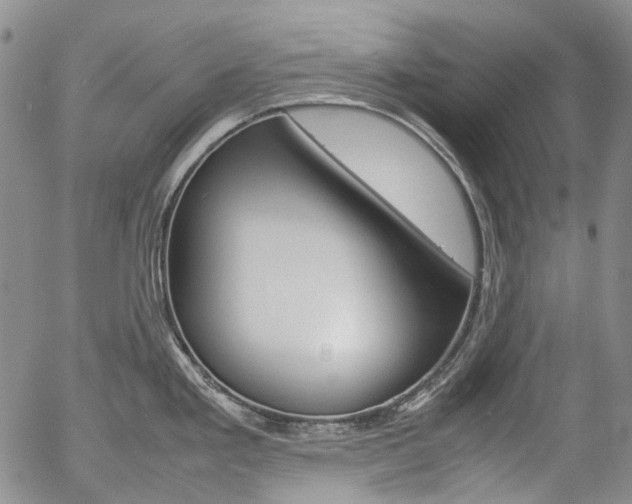 X0000057061293200509090807