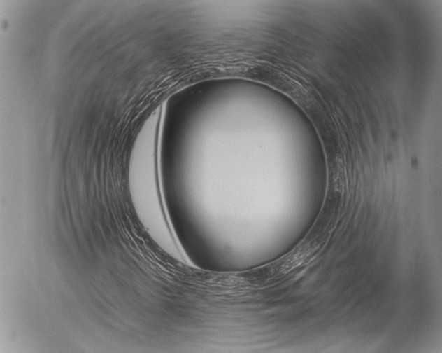 X0000057061298200509090807