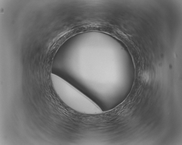 X0000057061303200509090807