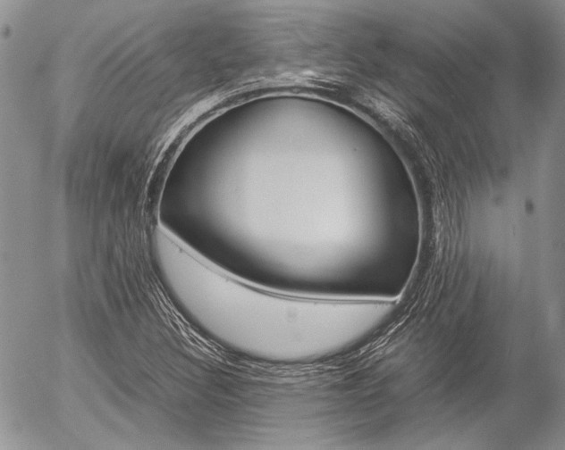X0000057061308200509090807