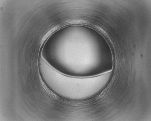 X0000057061330200509090807