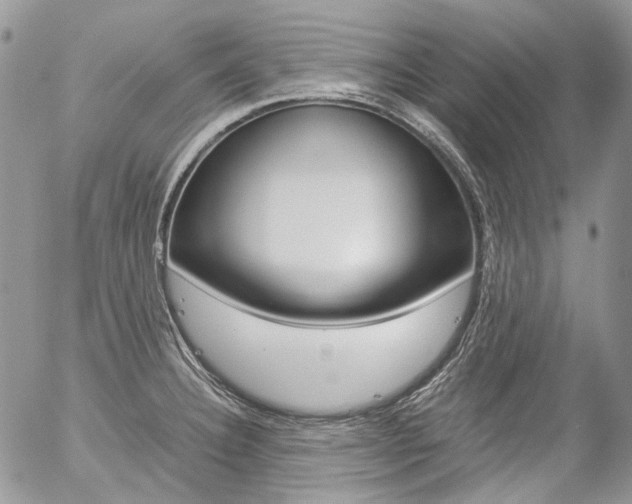 X0000057061332200509090807
